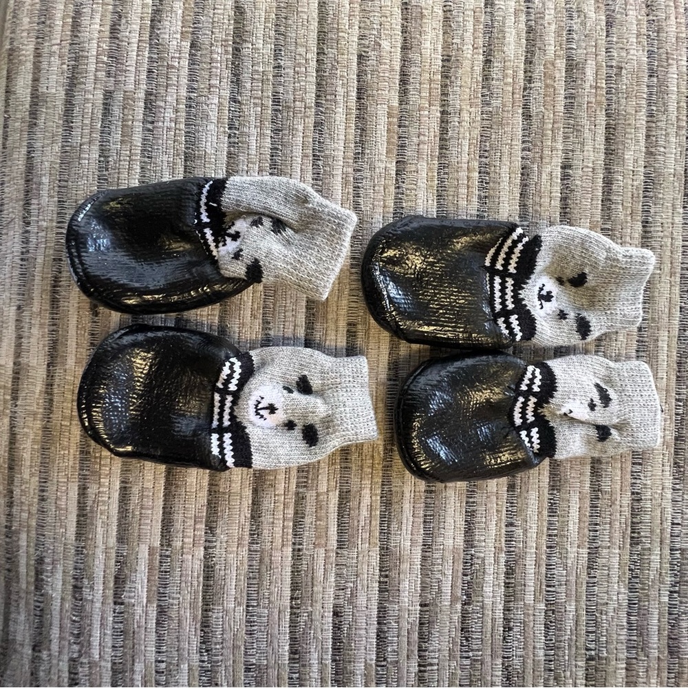 Puppy Black and Gray Shoes